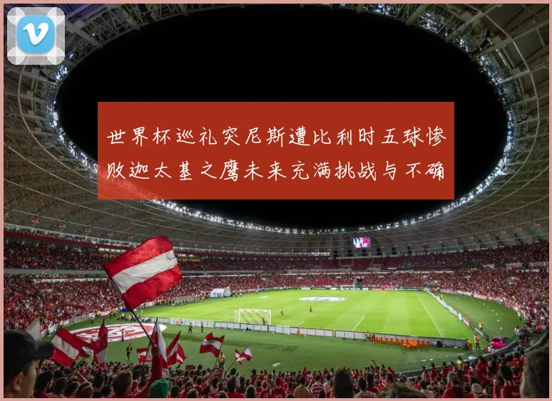 世界杯巡礼突尼斯遭比利时五球惨败迦太基之鹰未来充满挑战与不确定性