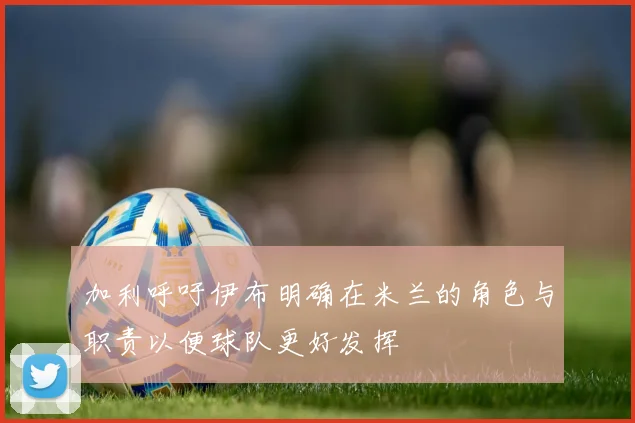 加利呼吁伊布明确在米兰的角色与职责以便球队更好发挥